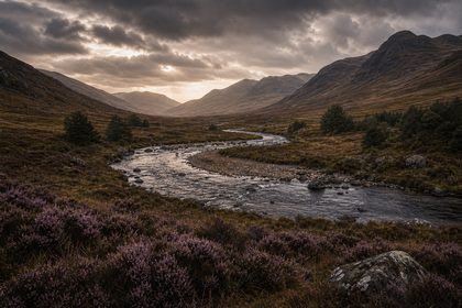 Scottish coastal distillery landscape
