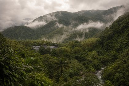 New-world whisky casks in a tropical warehouse